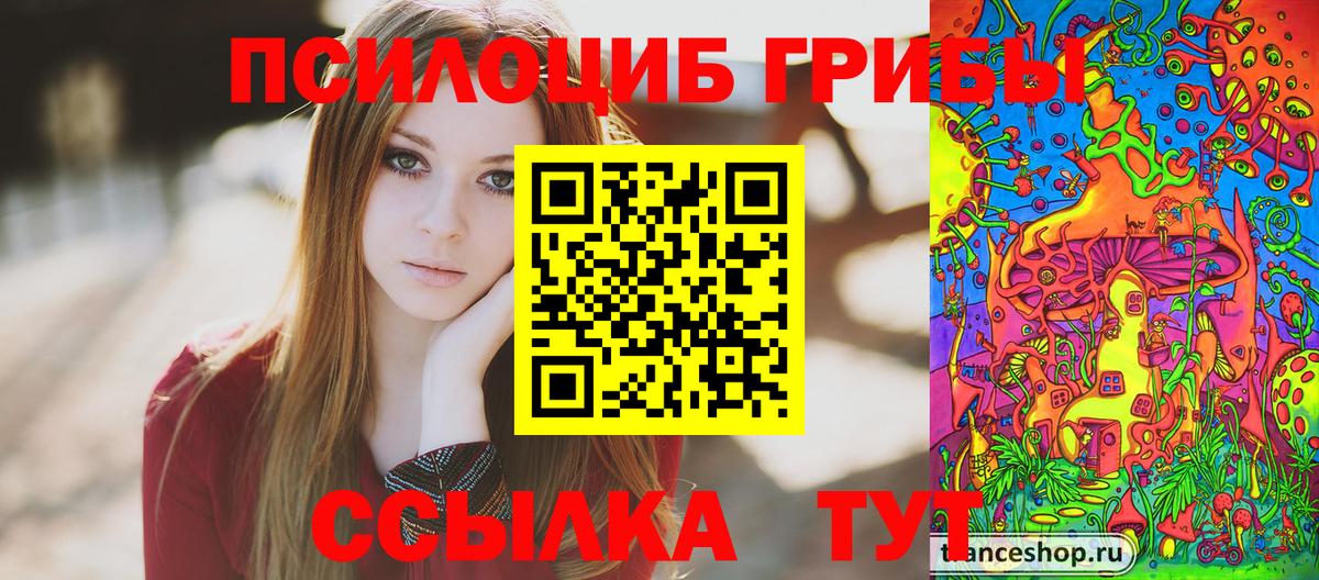 Ковров  Псилоцибиновые грибы прущие грибы  Вход с VPN 